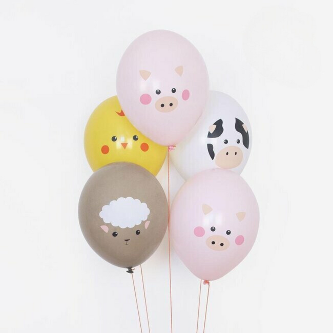 Mini farm ballonnen - 5 stuks